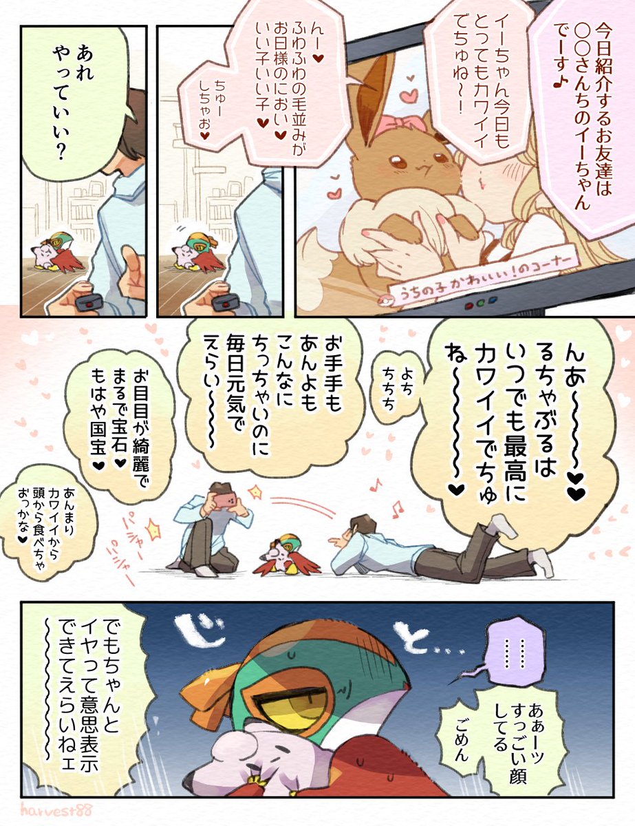 トレーナーの愛情表現にちょっと引く赤ちゃんルチャチャ 