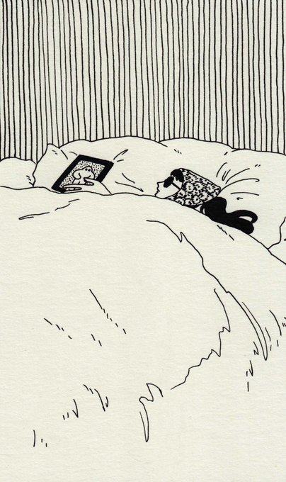 🛌 