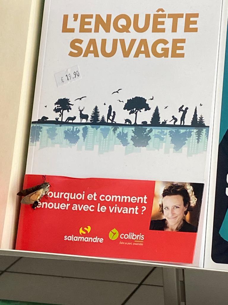 SoAnn's tweet photo. Des lectrices qui parlent de L’enquête sauvage comme d’une pépite, et d’autres qui m’envoient le livre en bonne compagnie 🙏🏽🥰 #merci #polliniser #vivant #livre #enquete https://t.co/HJR8ZvV7sp