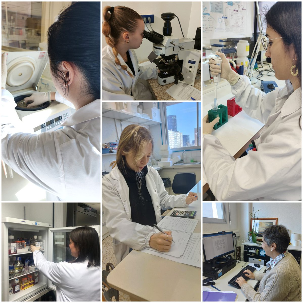 11 de Febrer, Dia Internacional de la Dona i la Nena en la Ciència👩‍🔬. Us presentem les nostres investigadores #WomenInSTEM, #WomenInScience. #recercaub #farmaciaub Tenim un gran equip!🧵