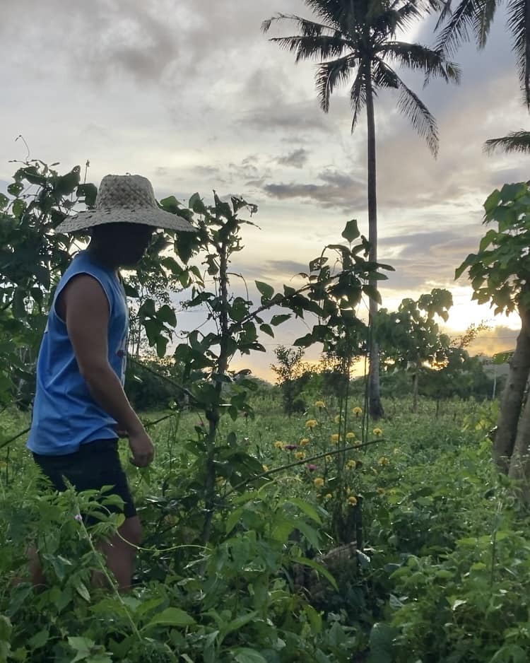 nomadengrmier's tweet photo. There’s MORE LIFE outside every office cubicles! 

Praying that more and more people can find their escape or even just find peace after a very stressful week of work. 

#AyawFromTech #digitalnomad #engineer #bisaya #farmlife #provincelife https://t.co/Ct7fFYM0eD https://t.co/7iHSUSr3YR