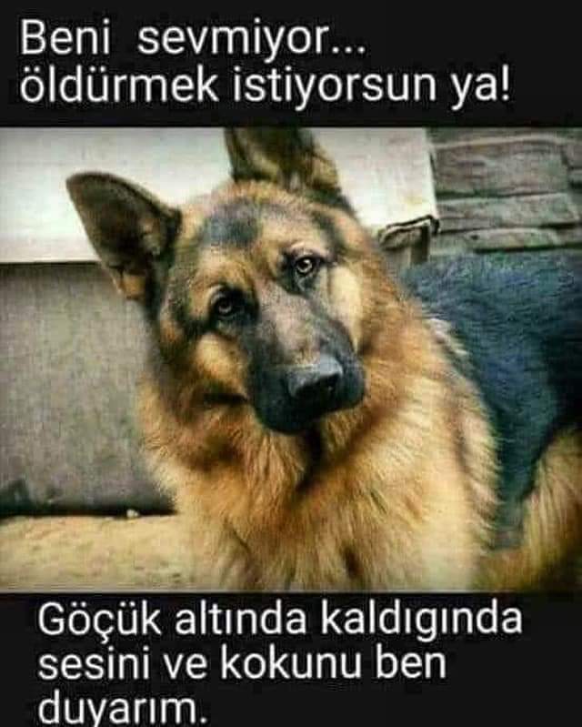 zahide_ce's tweet photo. https://t.co/mTPuG5FXBU