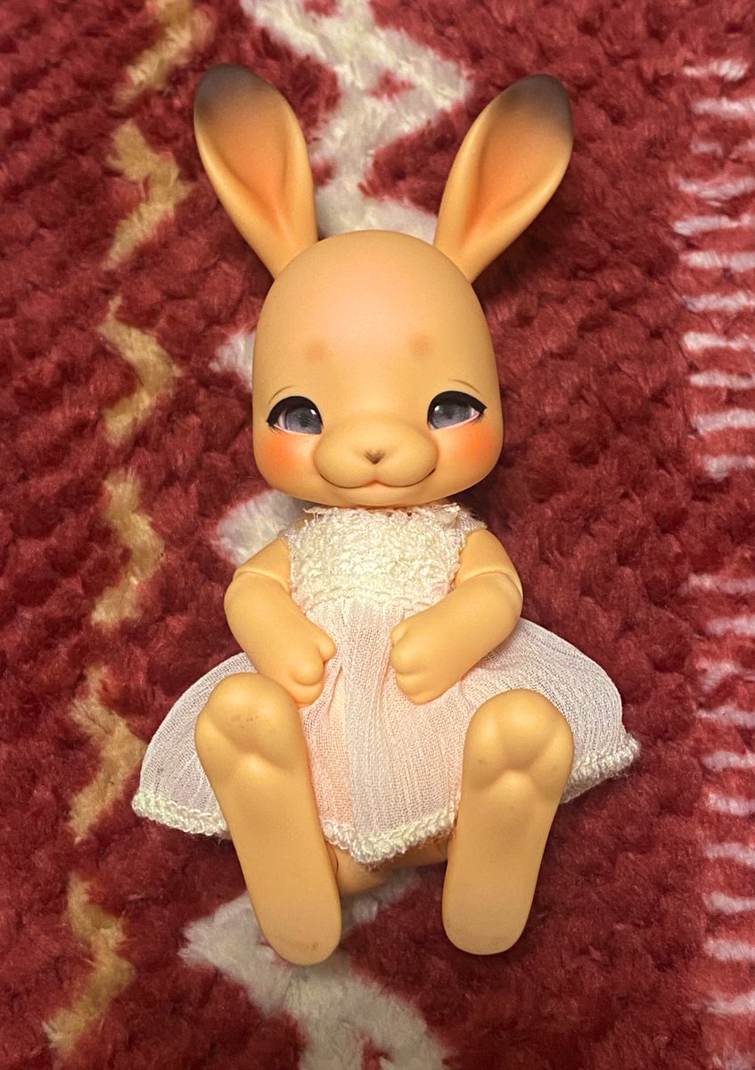 memedollv's tweet photo. 初めてパラボックス行ってきた♪
グレーのアイを買ってみた！中々可愛いではないかーーー❤️
お手頃なんで違う色も、また買ってみよ〜
#cocoriang
#パラボックス京都店 https://t.co/1L2dy4vzXy