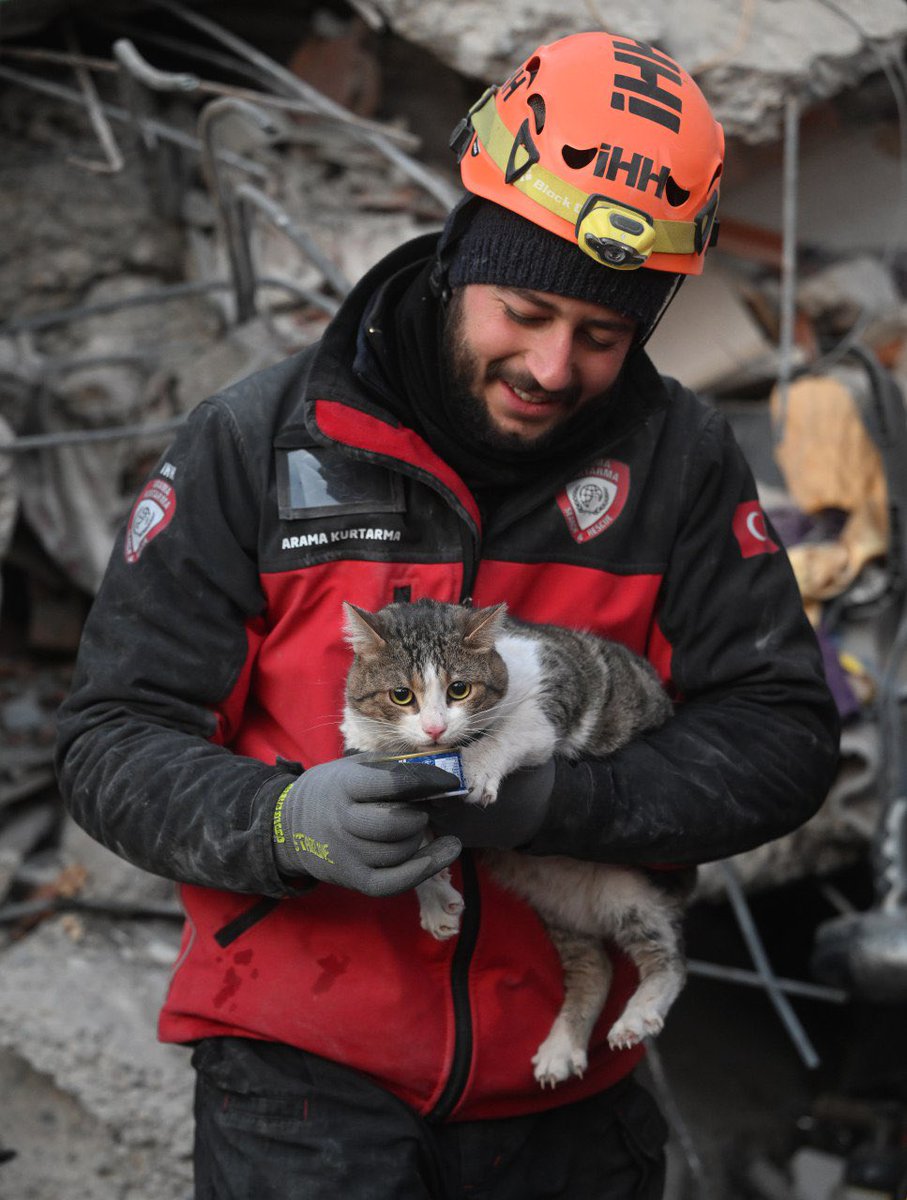 kalbimizege's tweet photo. Depremin 5. gününde arama kurtarma ekipleri enkazdan bir kedi çıkardı. #DEPREM https://t.co/V2vhMRRi0L