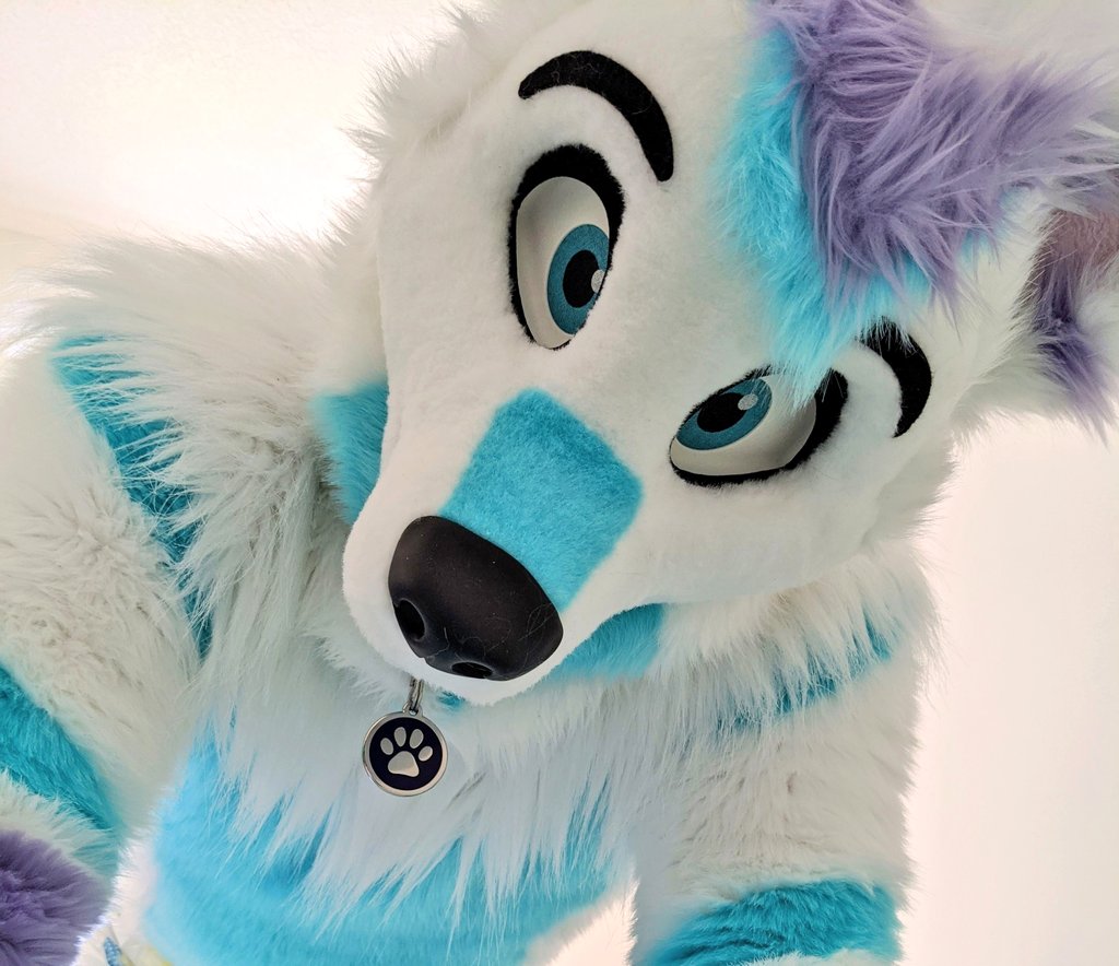 Do you remember when you joined T̶w̶i̶t̶t̶e̶r̶ The Furry Fandom?  #MyTwitterAnniversary 

It totally changed my life and allowed me to feel more comfortable with who I am outside the fandom as well.