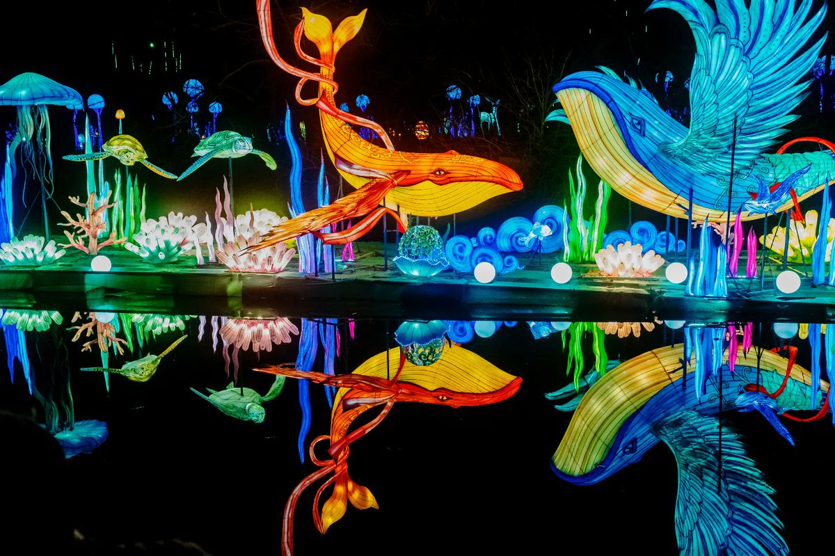 Mariocharming's tweet photo. Nashville Zoo definitely transported us to another world last week.
#zoolumination #fujifilmx100f https://t.co/s7qtG2QKPo