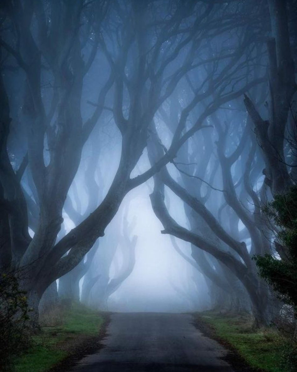 LEEFilters's tweet photo. Pawel Zygmunt - Misty Alley
📍 Antrim, Northern Ireland
📷 Nikon Z7
⭕ Sigma 100-400 f5-6.3
⬛ LEE 0.6 Soft Grad Filter
🖥️ Photoshop
🔗https://t.co/T9NLARpPwZ
-
#LEEFilters #photographeroftheday #landscapephotography #cameraequipment #SoftGradFilter #GraduatedFilter https://t.co/g7ikMaAA8B