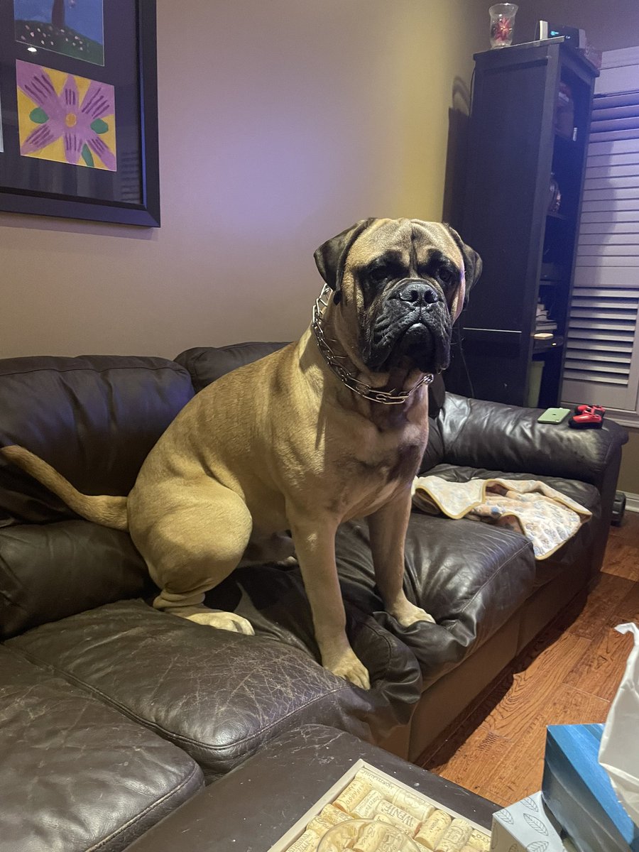 keithwrite_k's tweet image. My Boy❤️