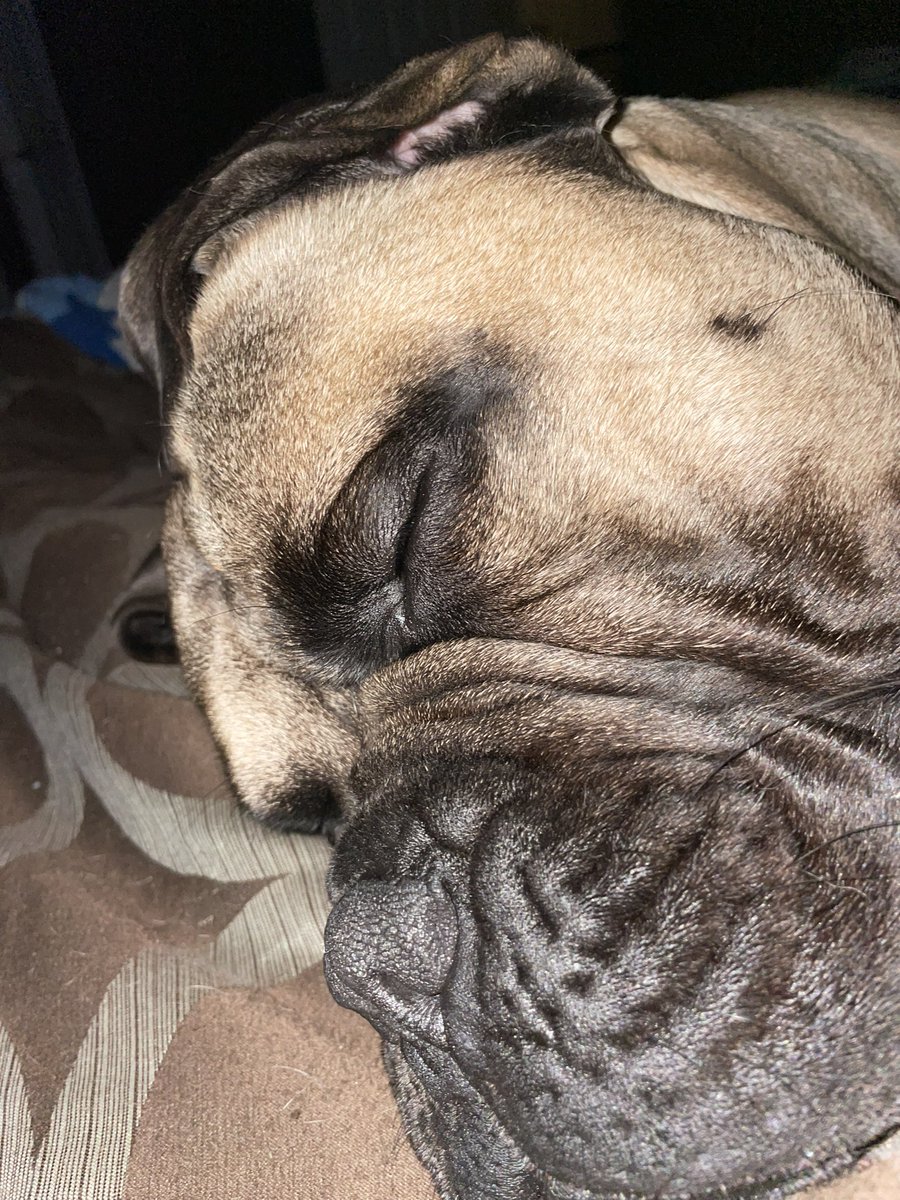 keithwrite_k's tweet image. Sleeping Beauty