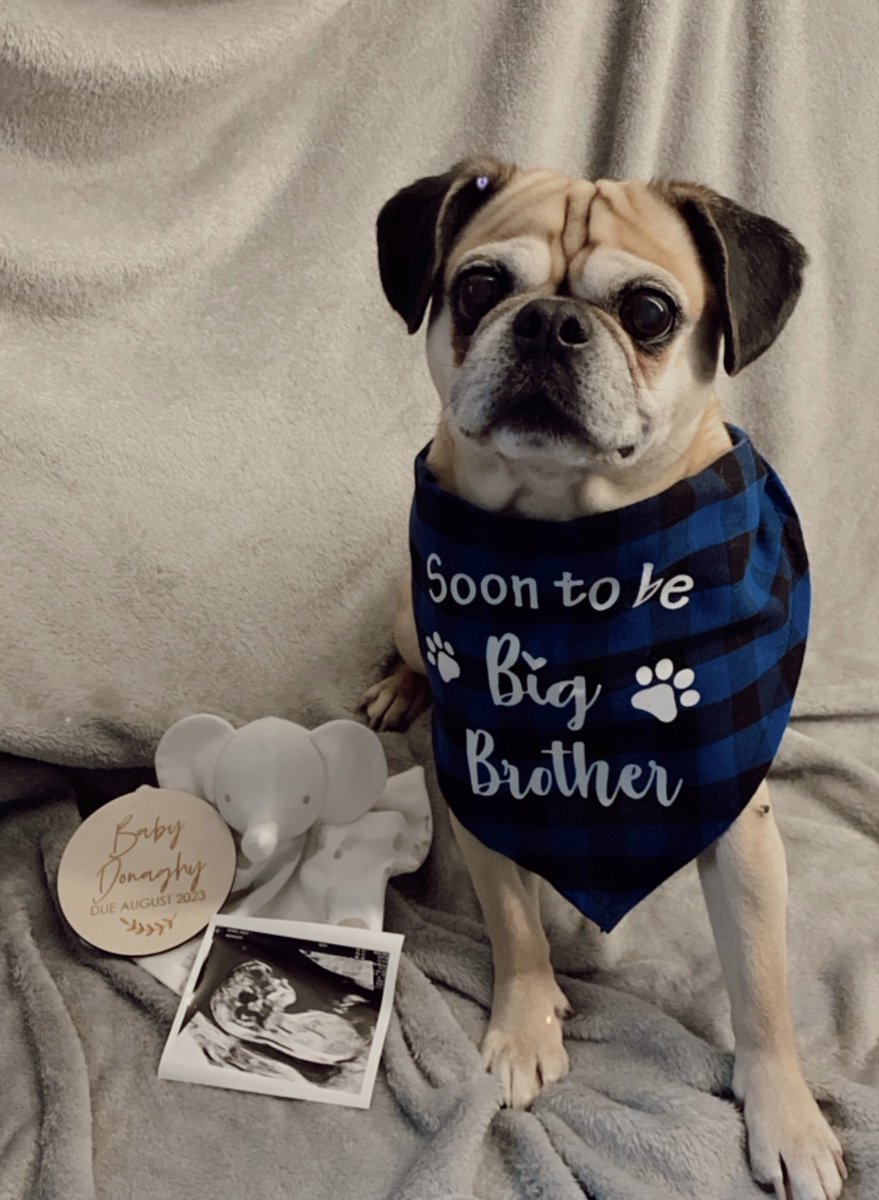 Lelskewis2's tweet photo. You are a dream come true Baby Donaghy 🧸🤍 can’t wait to be your Mama lil one 🥹 . Best feeling in the world 🫶🏼🌎 https://t.co/UxRMfTQT58