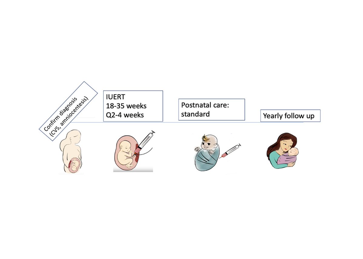UCSF Center for Maternal-Fetal Precision Medicine (@ucsfcmfpm) on Twitter photo For #InternationalDayofWomenandGirlsinScience, we highlight @MacKenzieTippi and teams’ clinical trial for In Utero Enzyme Replacement Therapy for Fetuses with Lysosomal Storage Diseases. Open for enrollment, contact fetaltreatmentcenter@ucsf.edu. More at tiny.ucsf.edu/ZqcckI For #InternationalDayofWomenandGirlsinScience, we highlight @MacKenzieTippi and teams’ clinical trial for In Utero Enzyme Replacement Therapy for Fetuses with Lysosomal Storage Diseases. Open for enrollment, contact fetaltreatmentcenter@ucsf.edu. More at tiny.ucsf.edu/ZqcckI