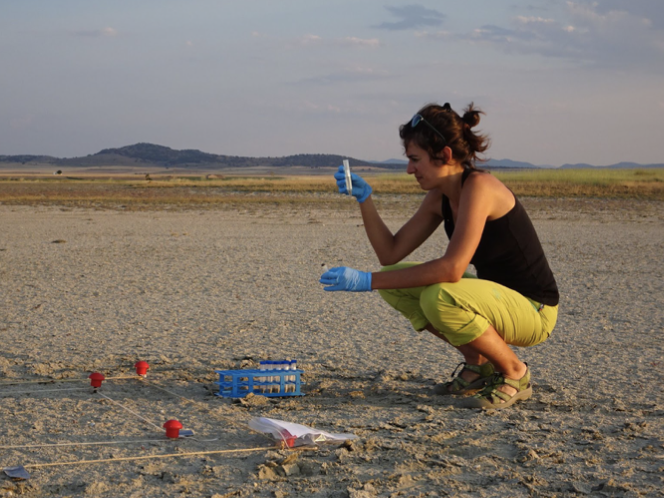 Núria Catalán @ncatalangarcia is a #biogeochemist aiming to understand #carbon cycling in #aquatic ecosystems and its perturbations due to #globalchange. She is a #RamonyCajal @IDAEA_CSIC, as well as a #feminist and #firstgeneration researcher