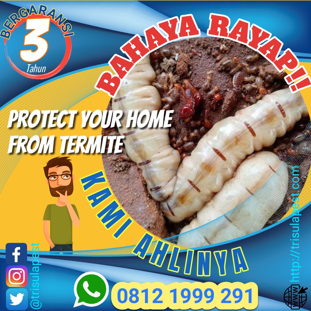 TrisulaPest's tweet photo. Jasa Anti Rayap
☎️ 0819 1000 6963
📧 trisula.pest@gmail.com
🌐 https://t.co/i1B9W4Mhli
#antirayap #basmirayap https://t.co/dfaS1m2noB