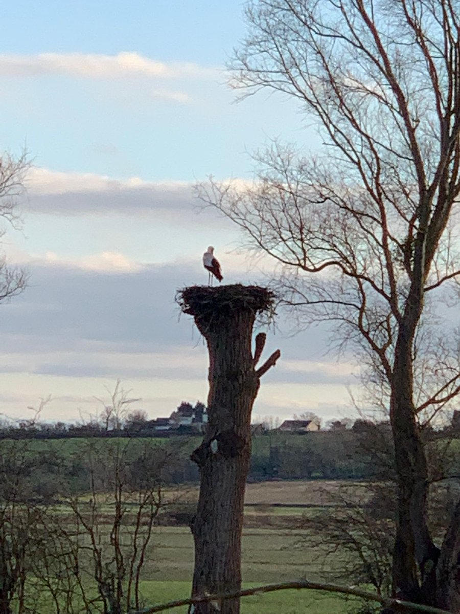 WBreene's tweet image. Back from vacation 😂