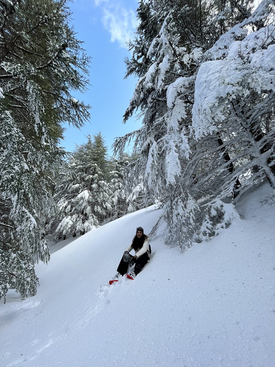 madamemyao1's tweet photo. This is not Alps, this is my libanos https://t.co/hYH5YgFvMH