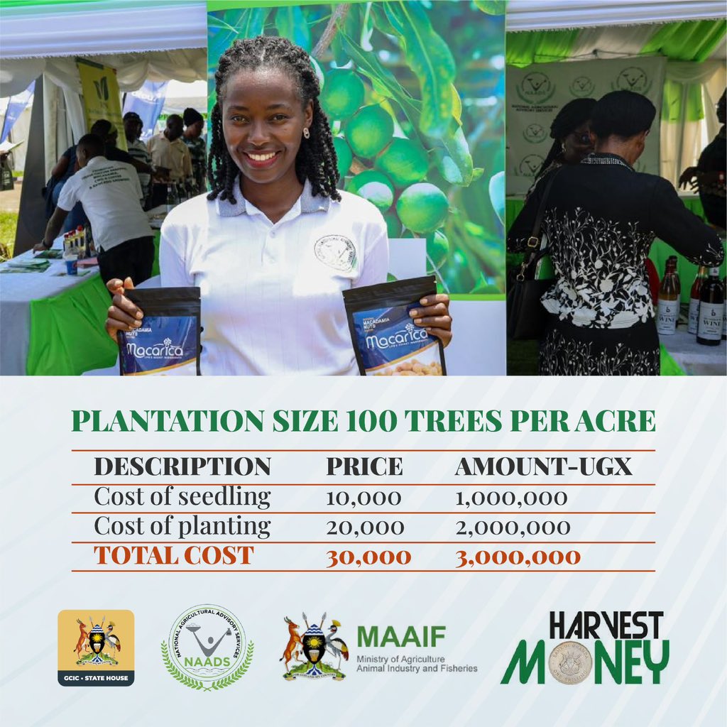 Marcella Karekye on Twitter "RT GcicAgriculture Note that the