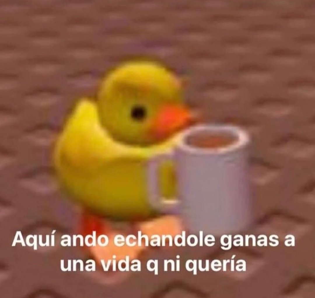 BioArmyEsports's tweet photo. Buenos días lindos, cómo andan? 🤭

Hoy se sale o se queda a dormir? 🤔 https://t.co/YgsRZpgzF3