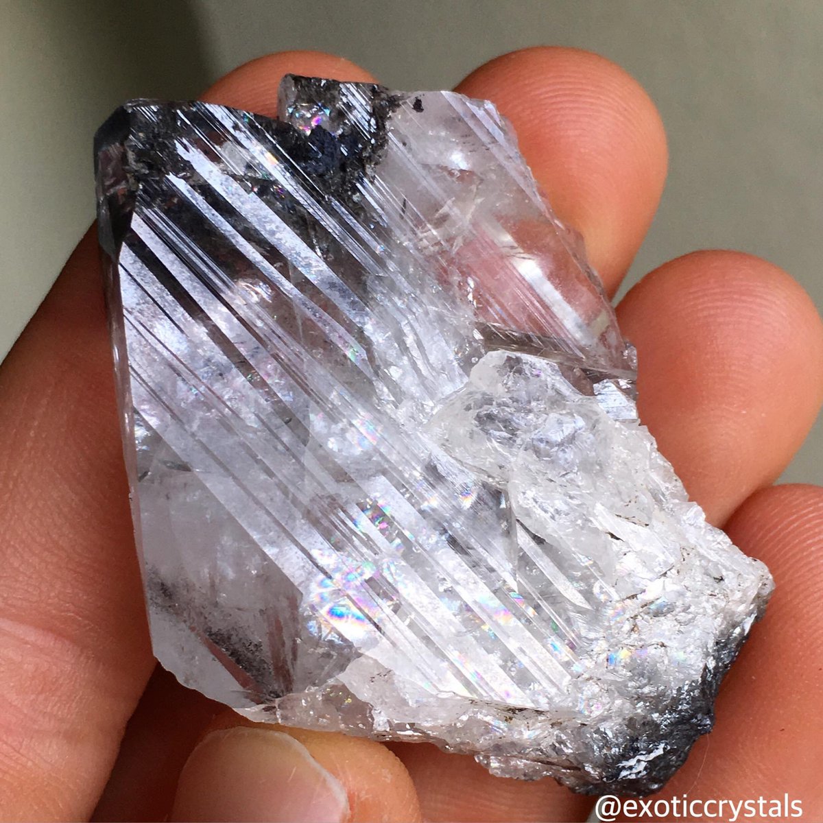 exoticcrystals's tweet photo. ✨Incredible Anglesite Crystal from Touissit, Morocco⚜️#anglesite #crystal #morocco https://t.co/dTDTDFBXOe