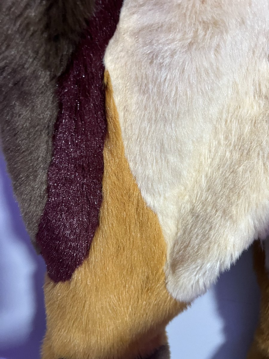 BetaEtaDelota 🛟 on Twitter "Questionnnnnn, is the light tan fur on the