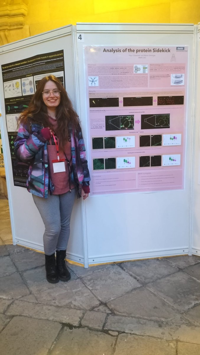 Llimargas Lab tweet media