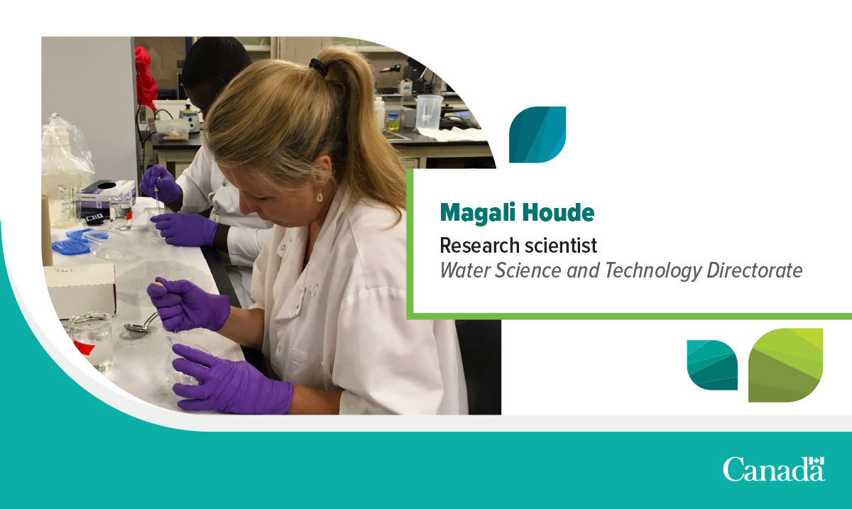 Today is the International Day of Women and Girls in Science! Let’s celebrate by thanking all the #WomenInScience, and the incredible work they do to help protect our #environment. Discover more: ow.ly/xU6w50MPS0t

#CdnSci
<a href="/CDNScience/">Canadian Science</a>