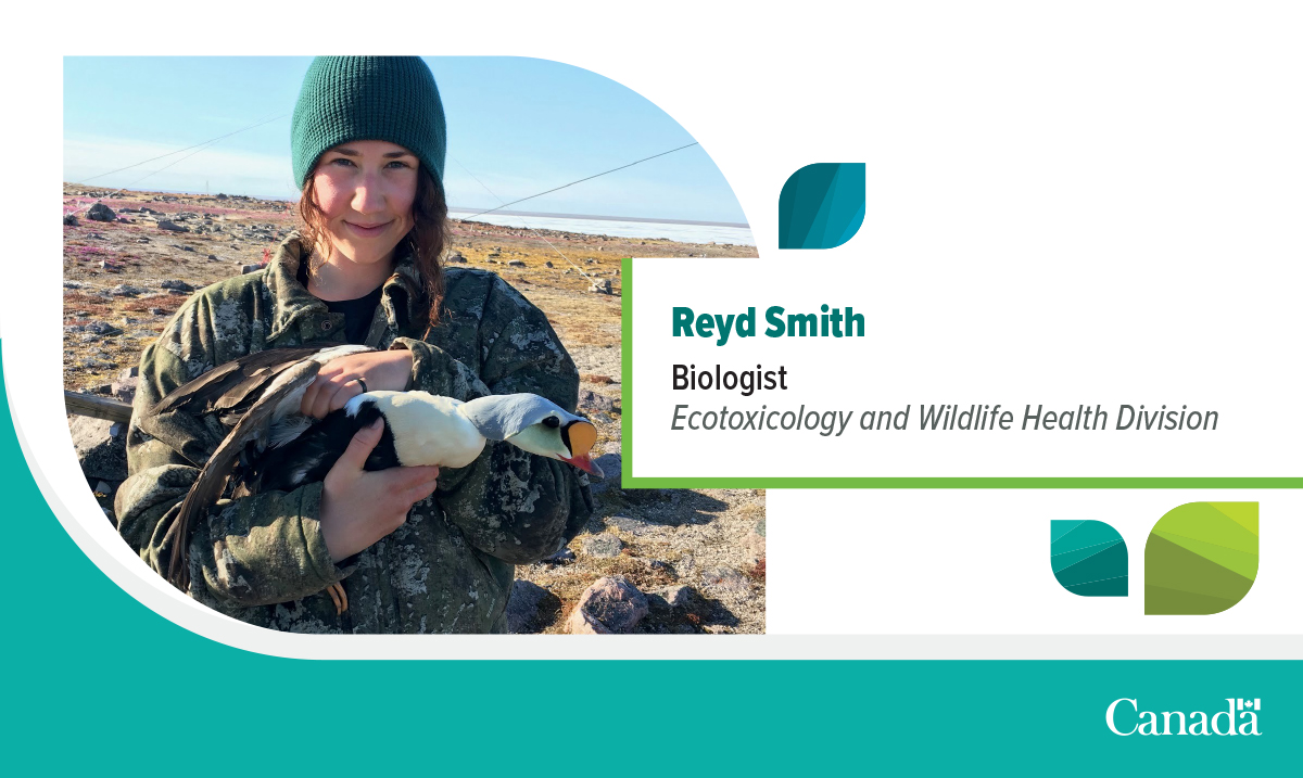 environmentca's tweet photo. Today is the International Day of Women and Girls in Science! Let’s celebrate by thanking all the #WomenInScience, and the incredible work they do to help protect our #environment. Discover more: https://t.co/avPAhk60VJ

#CdnSci
@CDNScience https://t.co/jnBsDD7lo7