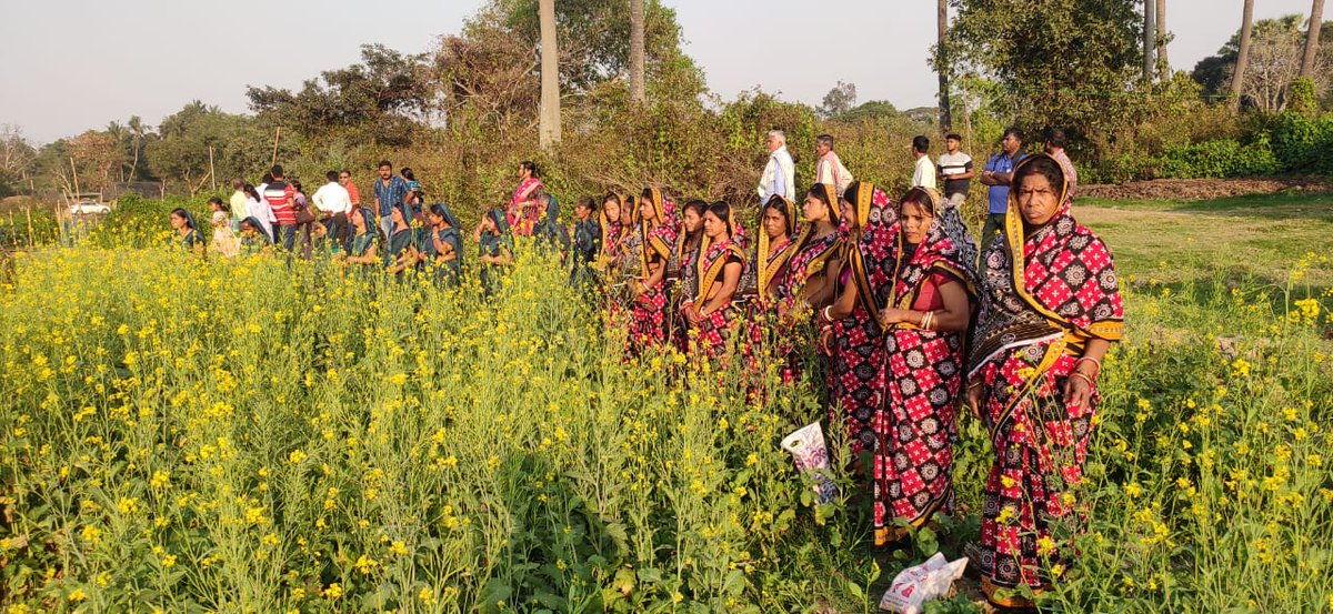 Chief Secretary GoO,Shri Suresh Mahapatra,IAS, visited Maitapur GP and reviewed the crop diversification project. He also inaugurated the OGOP- oil pressing unit in the GP. Around 2600 acres mustard,200 acres of moong and 100 acres of biri has been cultivated in the GP.