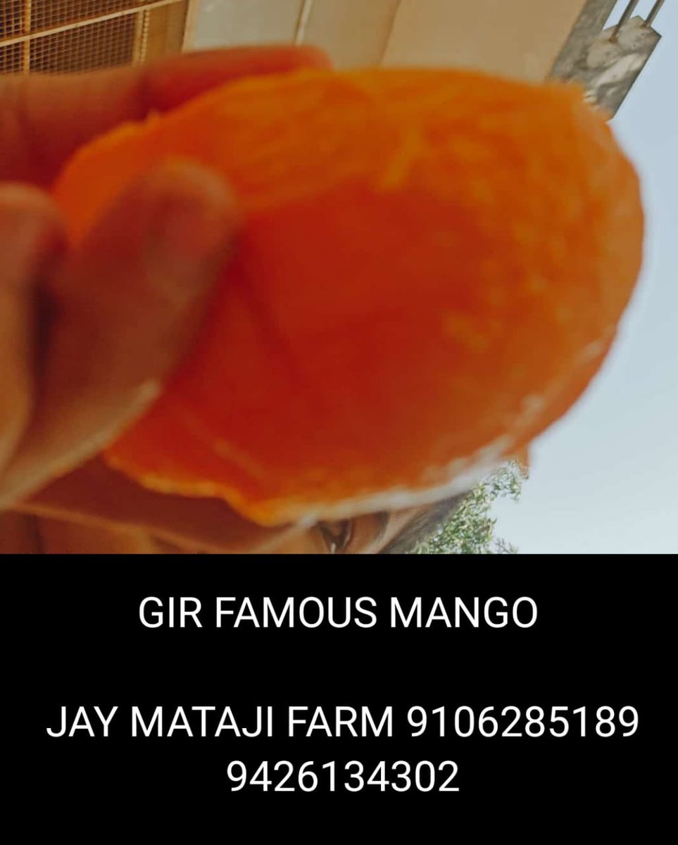 BakuMalade's tweet photo. JAY MATAJI FARM TALALA (gir) 9106285189 9426134302 https://t.co/BEtODFtJaQ