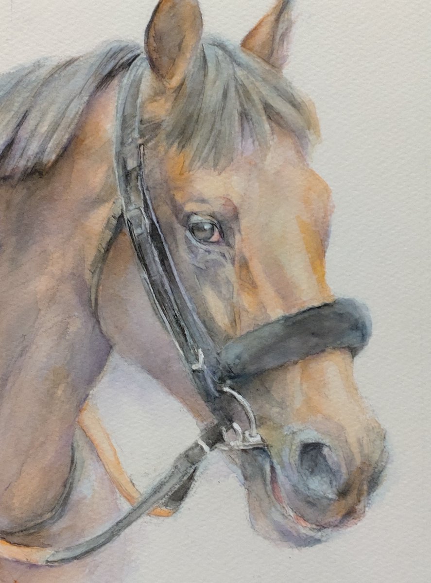 0522_chan's tweet image. #水彩画で暖かくなろう 
#ランプライト
暖かいどころか明日は熱くなりたいのですよ。
#京都記念2023 #エフフォーリア