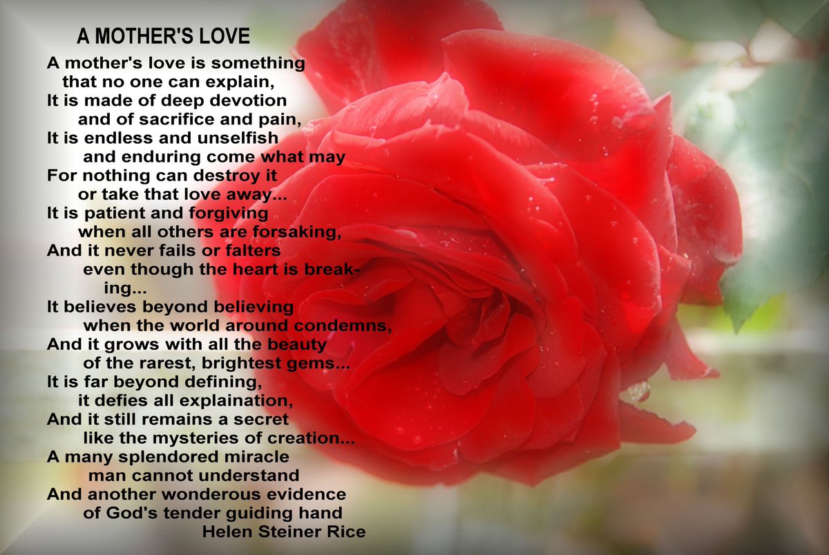 HHMU_Banksia's tweet photo. #AMothersLove by #HelenSteinerRice
#IDWP-#IDeclareWorldPeace
#PeaceOnEarthWillCome2Stay
#WhenWeLiveChristmasEveryDay
#HelenSteinerRice
#MerryChristmasONE & #ALL
#BrightestBlessings & #Joy #InAbundance2
#AllSentientBeings
#AndWePray
#Namaste
@mikecoulson48 @Zoompad @lynnpotter11 https://t.co/47Rr62fk3r