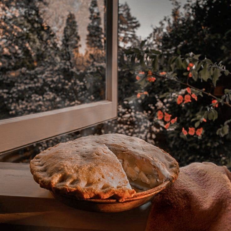 M0CHI_CE's tweet photo. Snow White Diet____🍎 https://t.co/G5mW0j0Kn2