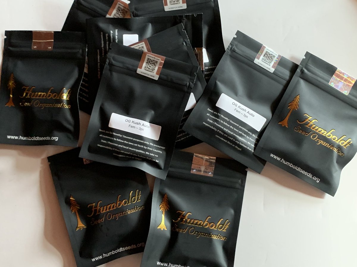 sooregonseeds's tweet photo. Freebies will come with every purchase of @humboldtseeds
This is a image of the promos #OgKushAuto get your Seeds today proven winners https://t.co/uNkrccGxtY