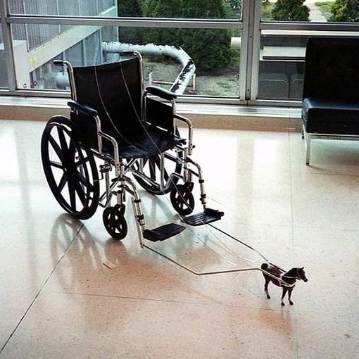 Fake History Tweets tweet media