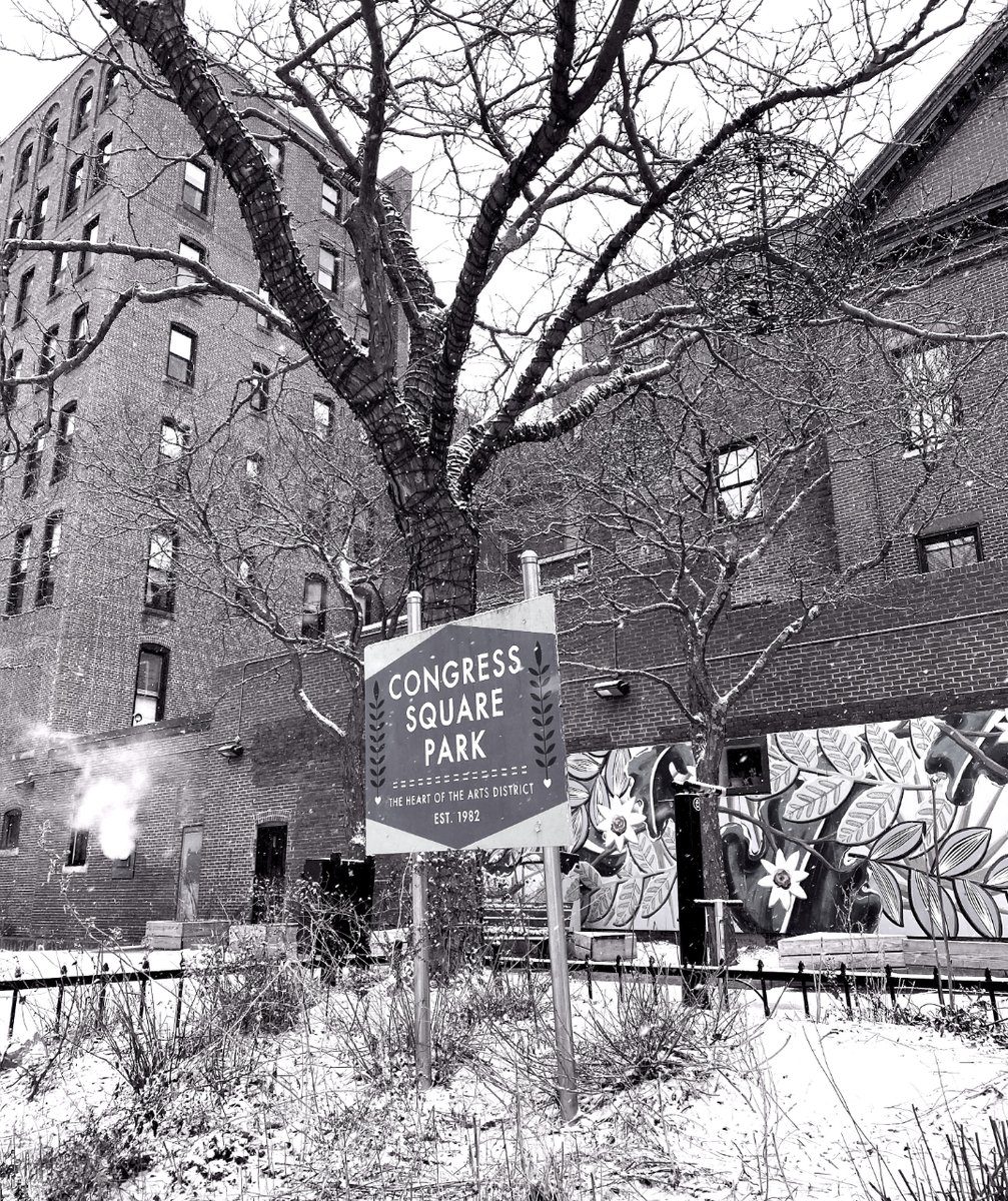 Just a lil winter beauty shot.