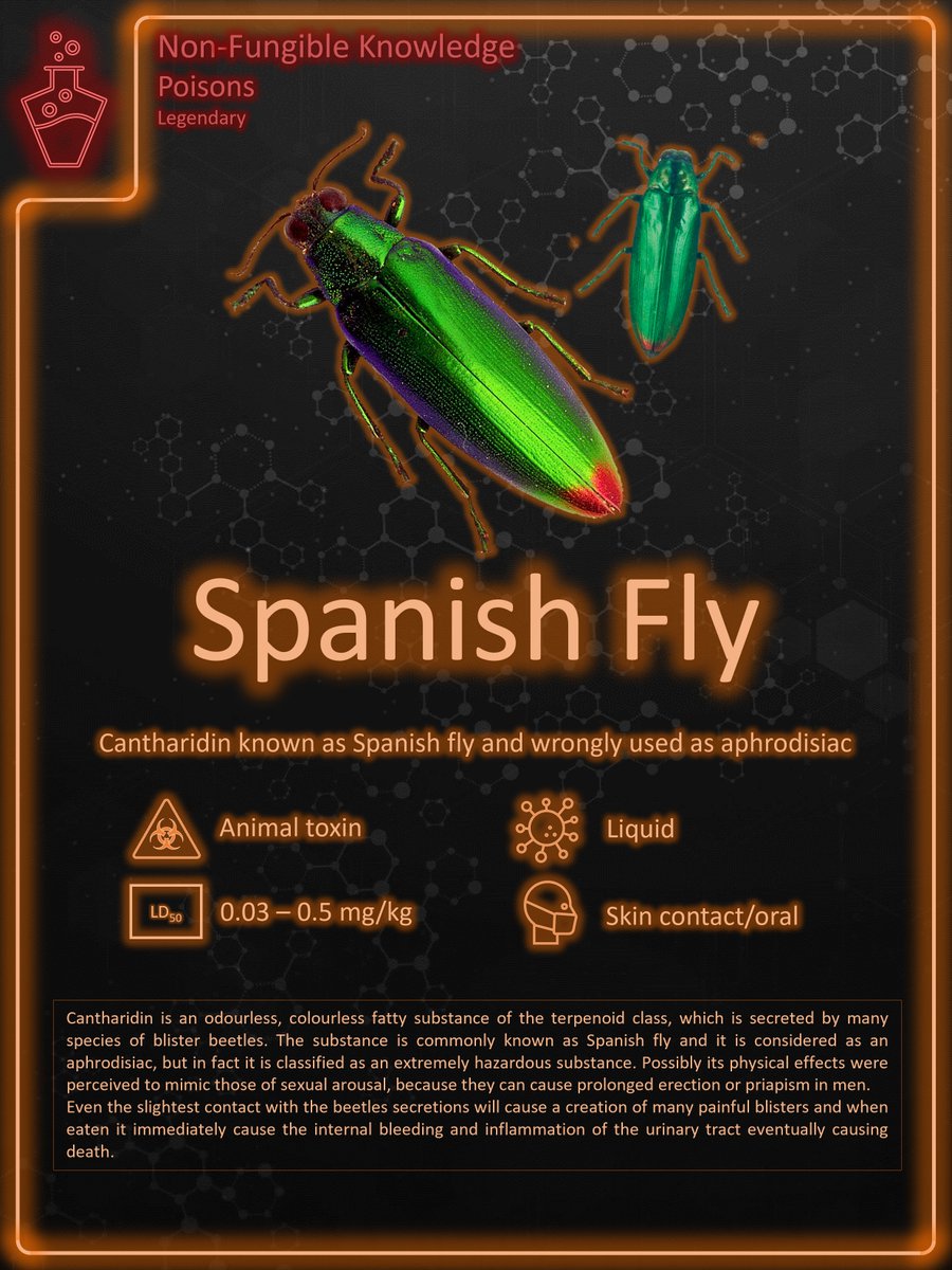 NonFungibleKnowledgeNFT tweet media