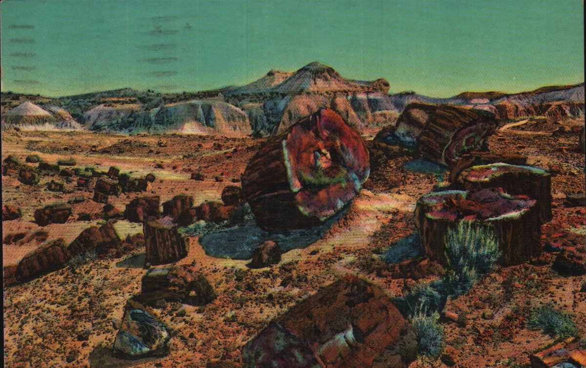 Excited to share the latest addition to my #etsy shop: Vintage Chrome Postcard Petrified Forest Arizona 1950s etsy.me/3XmIO8z #postcard #vintage #arizona #petrifiedforest #postcardpassionshop