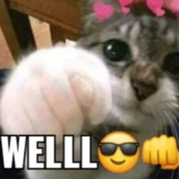 graneit's tweet image. 