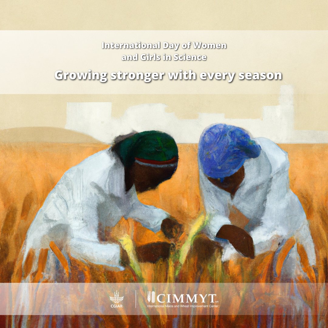 CIMMYT's tweet photo. We believe that women have unique insights that can contribute to the success of crop-based solutions. Our Women in Crop Science network is working towards inclusion and opportunity for all.
🌱 https://t.co/f7X8b8cwEe | #WhyIChoseScience
@CGIAR | #WomenInSTEM https://t.co/dfgMi1xTKN