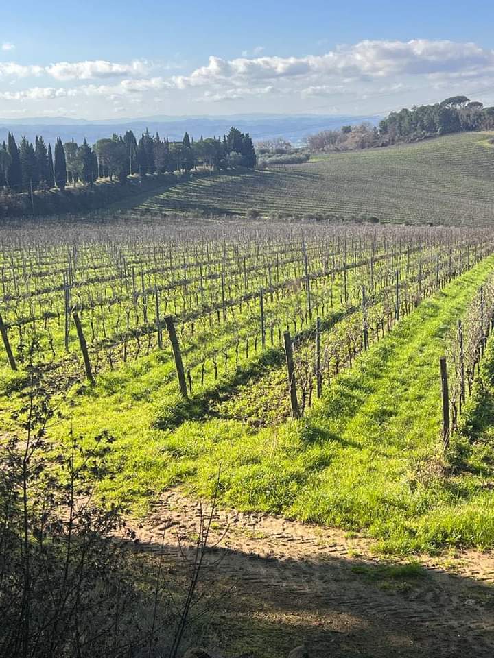 #chianticolliforentini #agriturismotoscana #montelupo