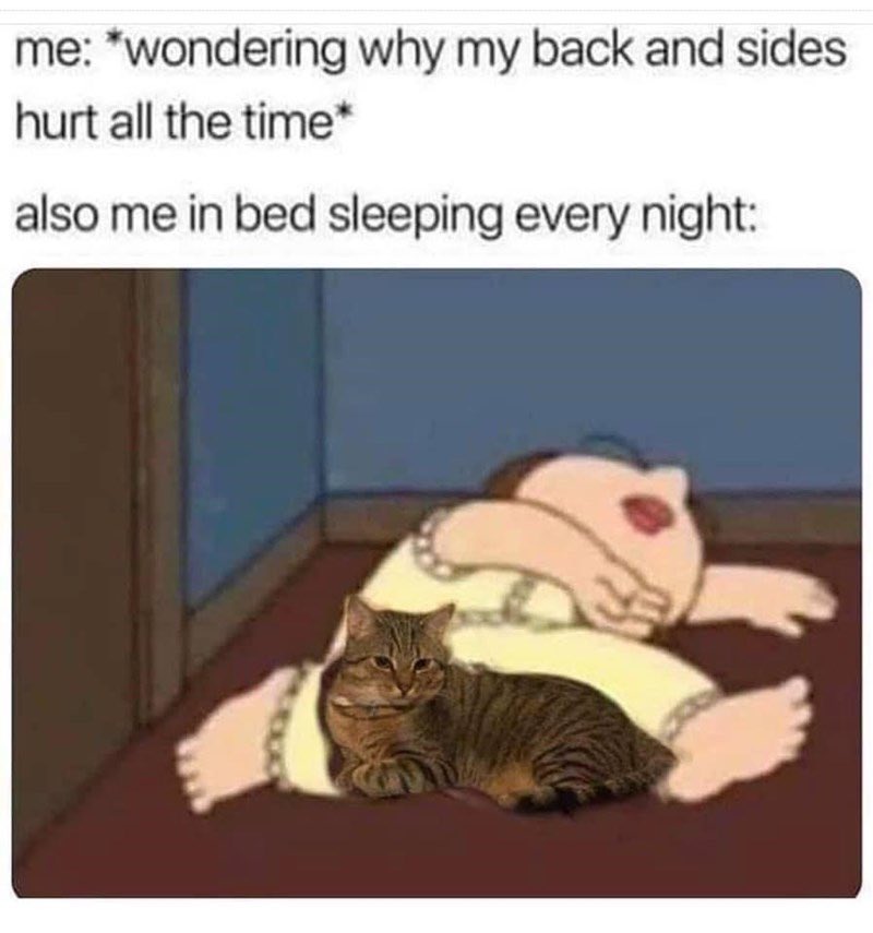 brandon_maron's tweet photo. me irl https://t.co/RY8qGsji0U