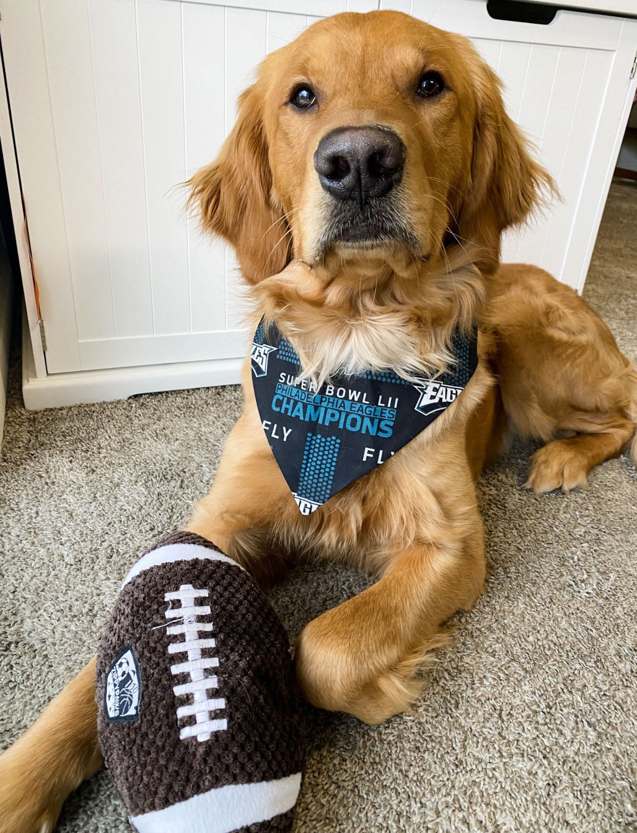 Bryanna Gallagher on X Banks is ready for the Eagles to bring home another SuperBowl flyeaglesfly 6abc https t LaHVk2iuIf X