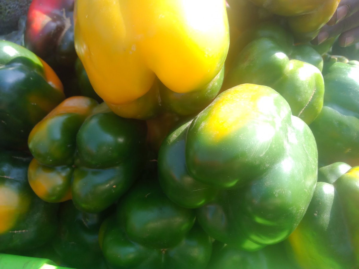 h-y-d-e-r-on-twitter-rt-aymanaah-moh-fresh-yellow-big-and