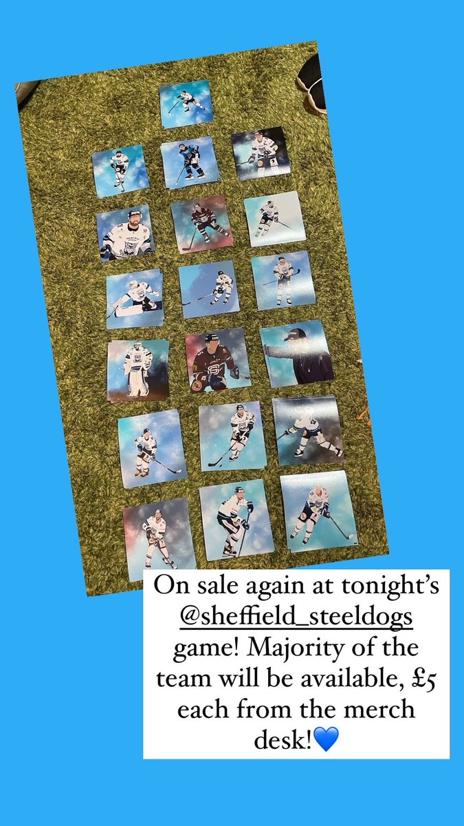Abi_bronwyn's tweet photo. Art prints on sale at tonight’s @SteeldogsIHC game! £5 each from the merch desk!💙 https://t.co/M4WsLORsUE