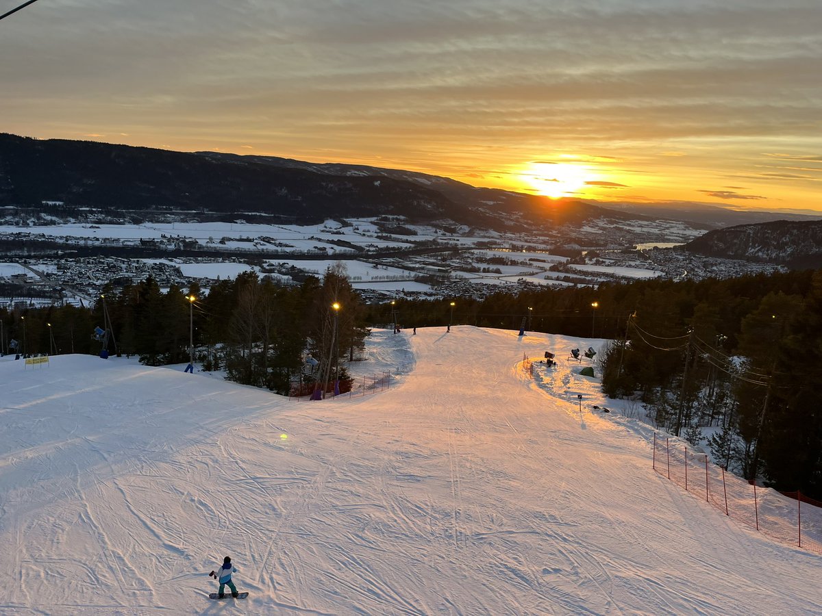 Bob Malin tweet media