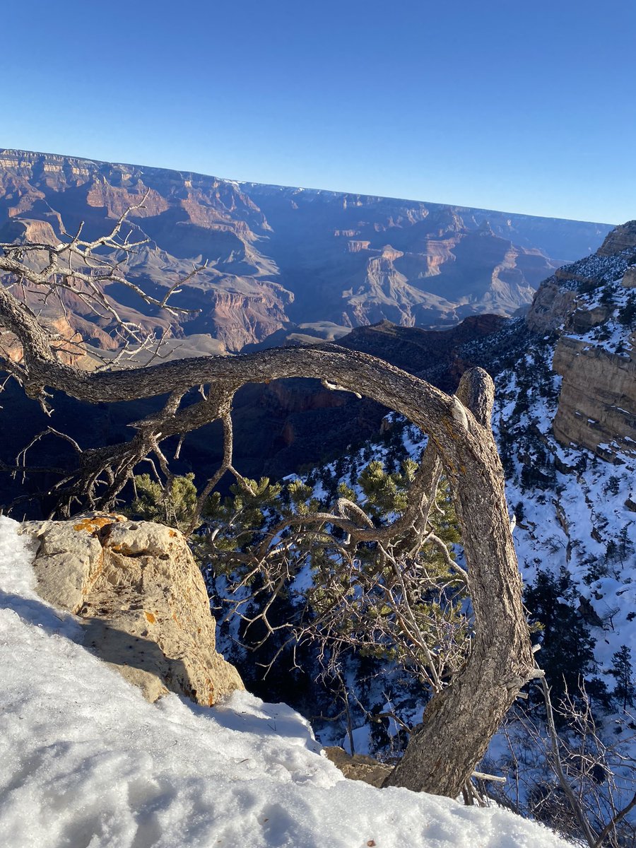 RaySamlow's tweet photo. #nature https://t.co/RpneQVqIfG