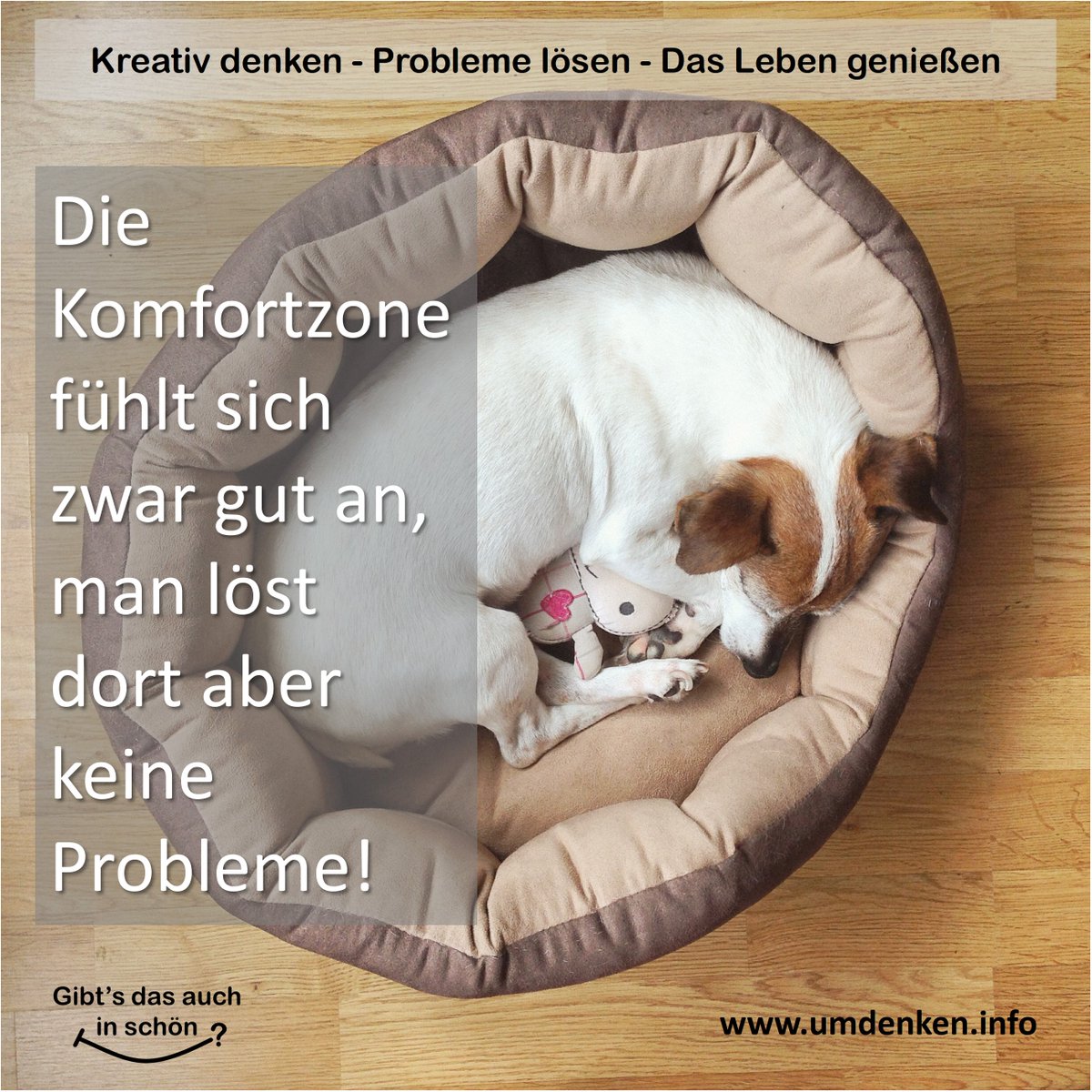 GeniesserCoach's tweet image. Die Komfortzone fühlt sich zwar gut an, man löst dort aber keine Probleme!

#bequem #komfortzone #gutfühlen #problem #umdenken

Kreativ denken - Probleme lösen - das Leben genießen

Gibt's das auch in schön?

umdenken.info