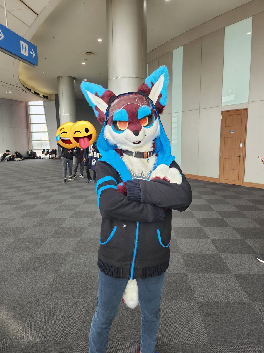 wiewdog233's tweet image. 2023.02.11 #FurryJoA2023 #퍼리조아 @PERDION_PERDO