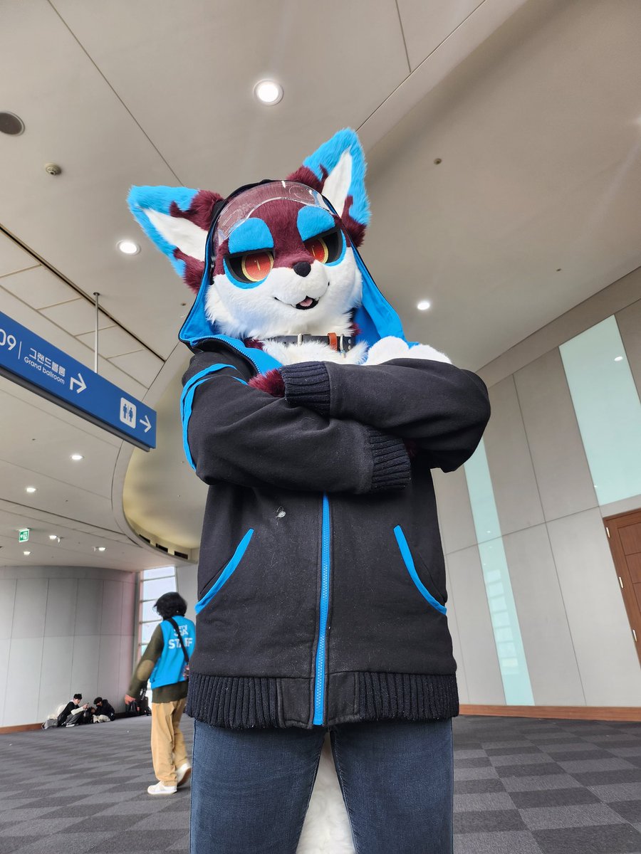 wiewdog233's tweet image. 2023.02.11 #FurryJoA2023 #퍼리조아 @PERDION_PERDO