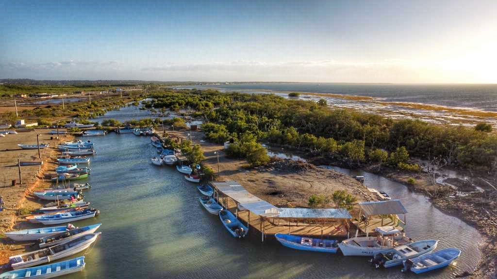 AlanChecoAlonzo's tweet photo. Buscando posibles soluciones desde @PortuariaRD para nuestros pescadores de Caño del Yuti, pronto presentaremos el proyecto que se pudiera ejecutar en esta belleza natural de la provincia MonteCristi, cuenten con nosotros y nuestro director @jeanluisrj #MuellesPesquerosRD https://t.co/5GEU4HrLvc