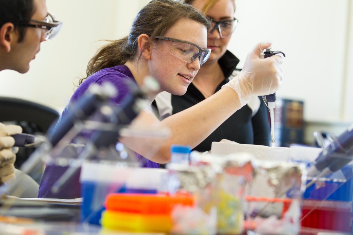 SFASU's tweet photo. On International Day of Women and Girls in Science, SFA applauds its outstanding faculty, alumnae and students who continually push through barriers and leave a mark in many STEM disciplines. #WomenInScience #WomenInSTEM #SFASTEM 🔭 🔬 🧬 🧪 🩺 💻 https://t.co/0ZOdD2PKN7